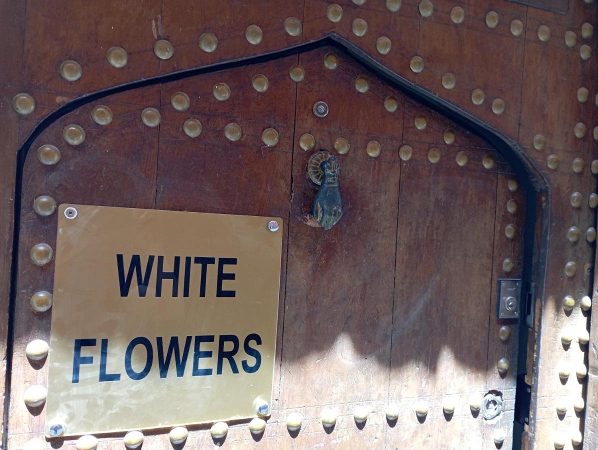 Riad White Flowers Marrakesh Exterior photo